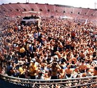Live Shots